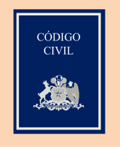 Código Civil, art. 25, lenguaje inclusivo, igualdad de género