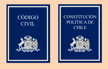 código civil, constitución, derecho de propiedad, recurso de protección