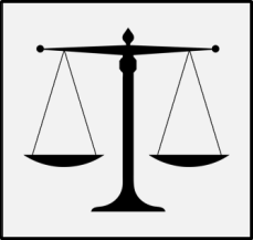 juicio tribunales de familia juzgados ley 19.968 liquidación sociedad conyugal